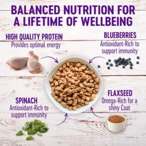 Wellness Complete Health Dry Dog Food with Grains