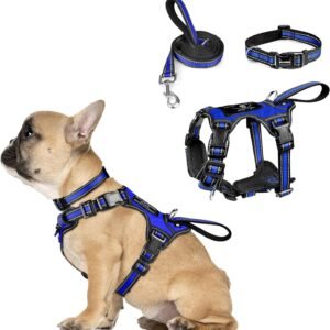 WINSEE Pet Harness Collar and Leash Set, All-in-one